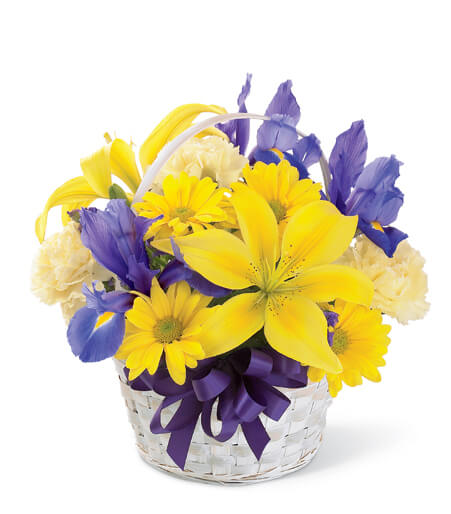 Spirit of Spring