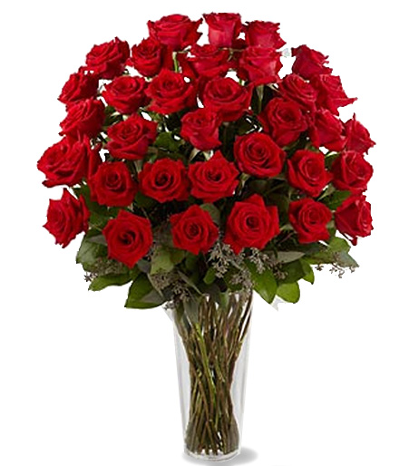 Three Dozen Red Roses