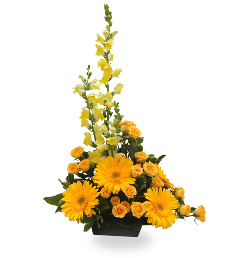 Yellow Rising