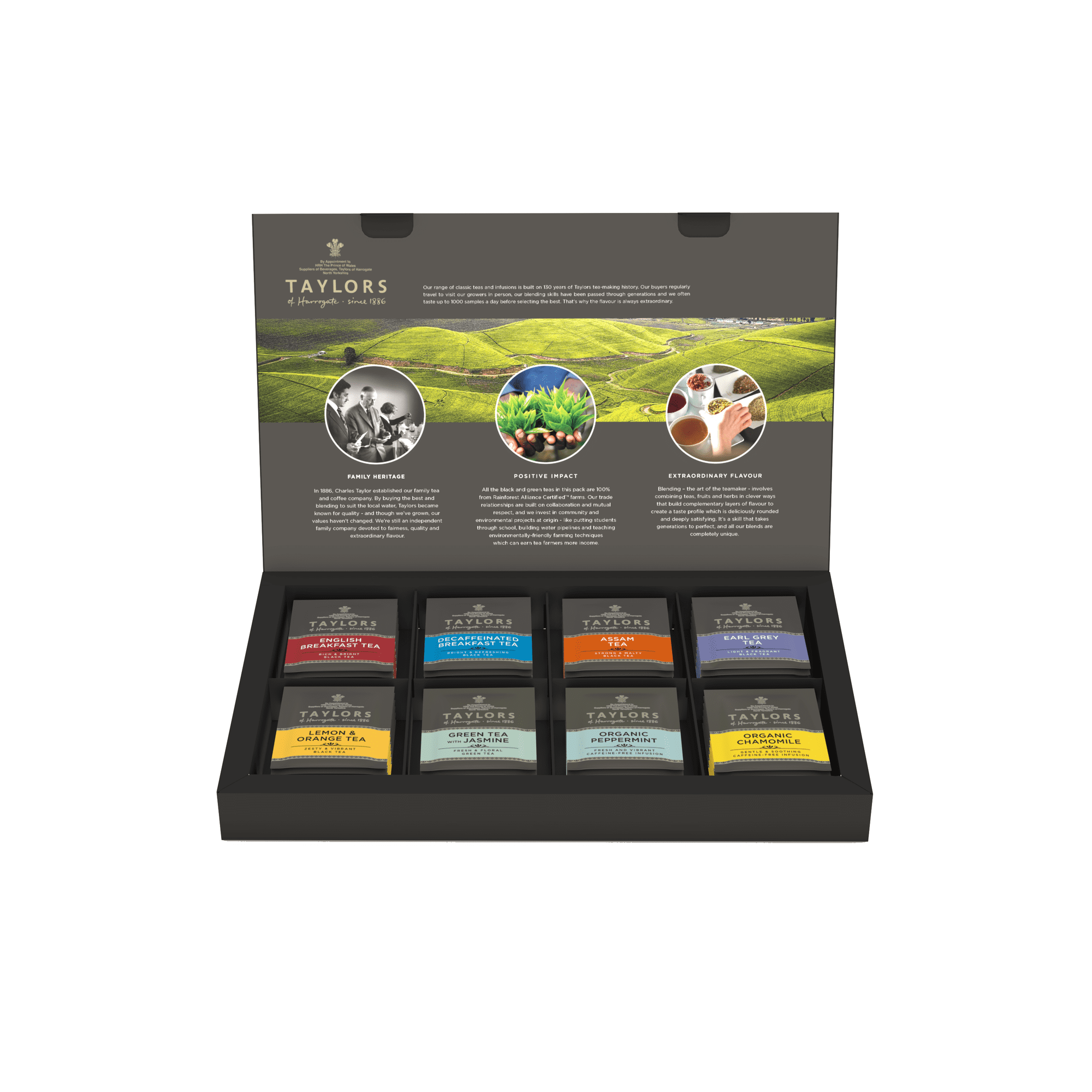 Taylors of Harrogate Assorted Specialty Teas Box , 48 Count (Pack of 1)
