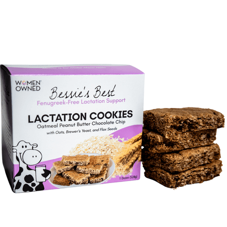 Bessie's Best Lactation Cookies - 1 Dozen - Oatmeal Peanut Butter Chocolate Chip - Lactation Support & Breast Milk Boosting Lactation Snacks