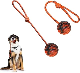 2Pcs Dog Training Ball on Rope - Exercise & Reward Toy for Dogs - Chew, Pull, Throw, Tug & Fetch - Belgian Malinois Gifts