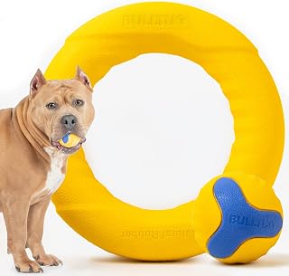 Dog Chew Ring & Fetch Ball Set for Aggressive Chewers &ndash; Heavy-Duty Natural Rubber Toys for Medium to Large Dogs - Lifetime Replacement
