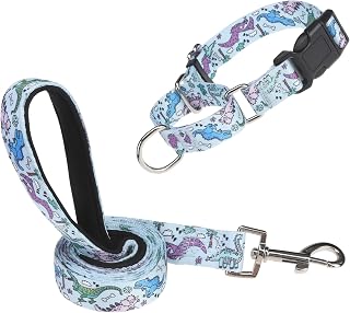 Martingale Dog Collar and Leash Set for Walking, Playing, Training, Adjustable Puppy Collars with Leash for Small Medium Large Dogs (Blue Dinosaur M)