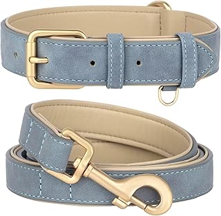 Beirui Soft Padded PU Leather Dog Collar and Leash Set, Blue,S | Durable Metal Buckle, Breathable Lining, Matching 4FT Leash, for Small Dogs Daily Walks, S,Neck 10-13"