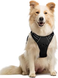 rabbitgoo Dog Harness, No Pull Medium Sized with 2 Leash Clips, Pet Vest | No Choke with Handle, Adjustable Soft Padded, Reflective, Easy Control for Walking, Black, Medium