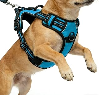 Blue No-Pull Dog Harness with 2 Leash Clips，Soft Padded Vest for Medium Dog, Adjustable Reflective Dog Vest Easy to Put on and Take Off, (Neck: 14"~20", Chest: 21"~27", Blue M)