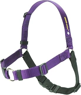 Sense-ation No-Pull Dog Harness - 1" Medium/Large