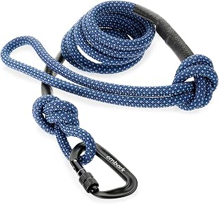 Embark Dog Leash - Heavy Duty Tough Nylon Training Lead for All Dog Breeds | Mountain Climbing Rope with Heavy Duty Locking Carabiner - Strong & Durable Nylon Pet Leash - 6 FT - Navy Blue