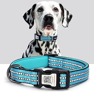 Personalized Dog Collar with QR Code Dog Tag, Light Blue M | Anti-lost, 1000D nylon, reflective, padded, XS-L(8"-24"), QR buckle shares lost pet profile, location alerts when scanned
