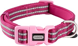 Reflective Nylon Dog Collar with Soft and Comfortable Neoprene Padding,Adjustable for Large Dogs.(Neck 17"-26.3",Pink)