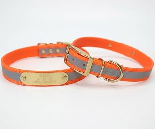 Reflective Dayglo Dog Collar Free Engraved Brass ID tag USA (Orange 19")