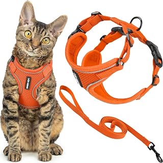 Voyager Escape-Proof Step-in Cat Harness & Leash - Orange, Small | 15 - 18" in Chest, 5ft Leash, Adjustable, Reflective, Breathable Air Mesh, Lightweight for Cats, Heavy Duty D-Ring