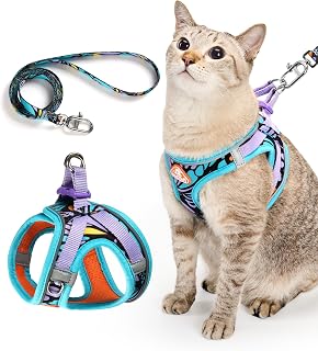PetThem Upgraded Cat Harness and Leash Set - Step-in Escape Proof Adjustable Cat Harness, Comfortable Soft Lightweight, Reflective Harness for Walking, Travel, Camping (Butterfly Magic, M)