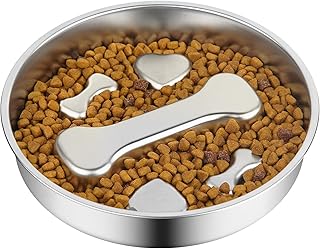 Novery Non-Slip Stainless Steel Slow Feeder Dog Bowl, 2-Cups | Interactive Slow Feeding Puzzle Maze, Prevents Choking & Bloating, Non-Slip Bottom, For Medium Dogs & Cats