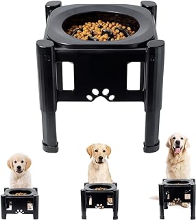 Pawque Elevated Slow Feeder Bowls - Adjustable Raised Dog & Cat Bowl | 3 Heights (6.1", 7.7", 9.3") for Medium & Small Pets, Mess Proof & Non-Slip Dish Feeder
