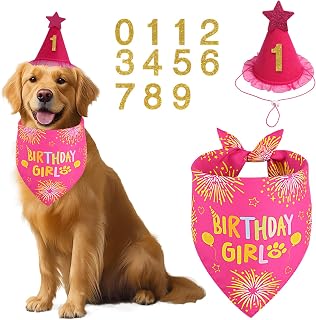 Rose Pink Girl Dog Birthday Party Supplies with Hat Bandana Numbers | Dog Birthday Bandana Set for Large Medium Pets Puppy Cat