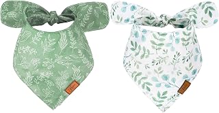 JarThenaAMCS 2Pcs Boho Dog Bandanas Sage Green Eucalyptus Leaves Triangle Fabric Pet Scarf Adjustable Puppy Neckerchief Dog Bib for Small Medium Large Dogs Cats Costume Accessories