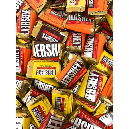 Hershey's Special Dark Favorites Mini Chocolate Bars 3 Lbs Variety Assortment Mix Individually Wrapped In Resealable Bag 150+ Pieces (48 Oz)